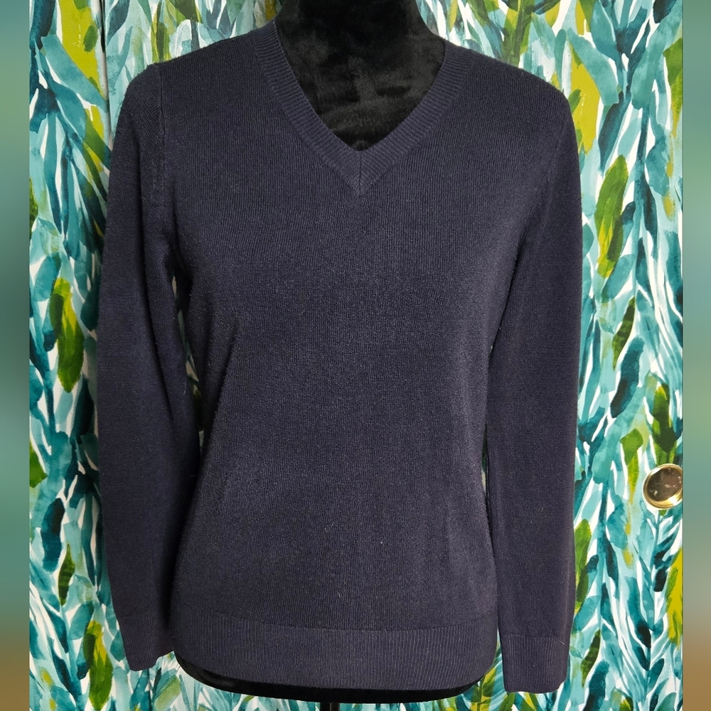 Appleseed's Deep Blue V-Neck Sweater